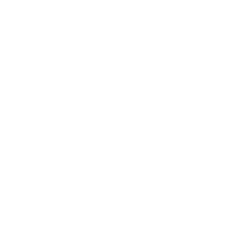 white logo with wordmark white